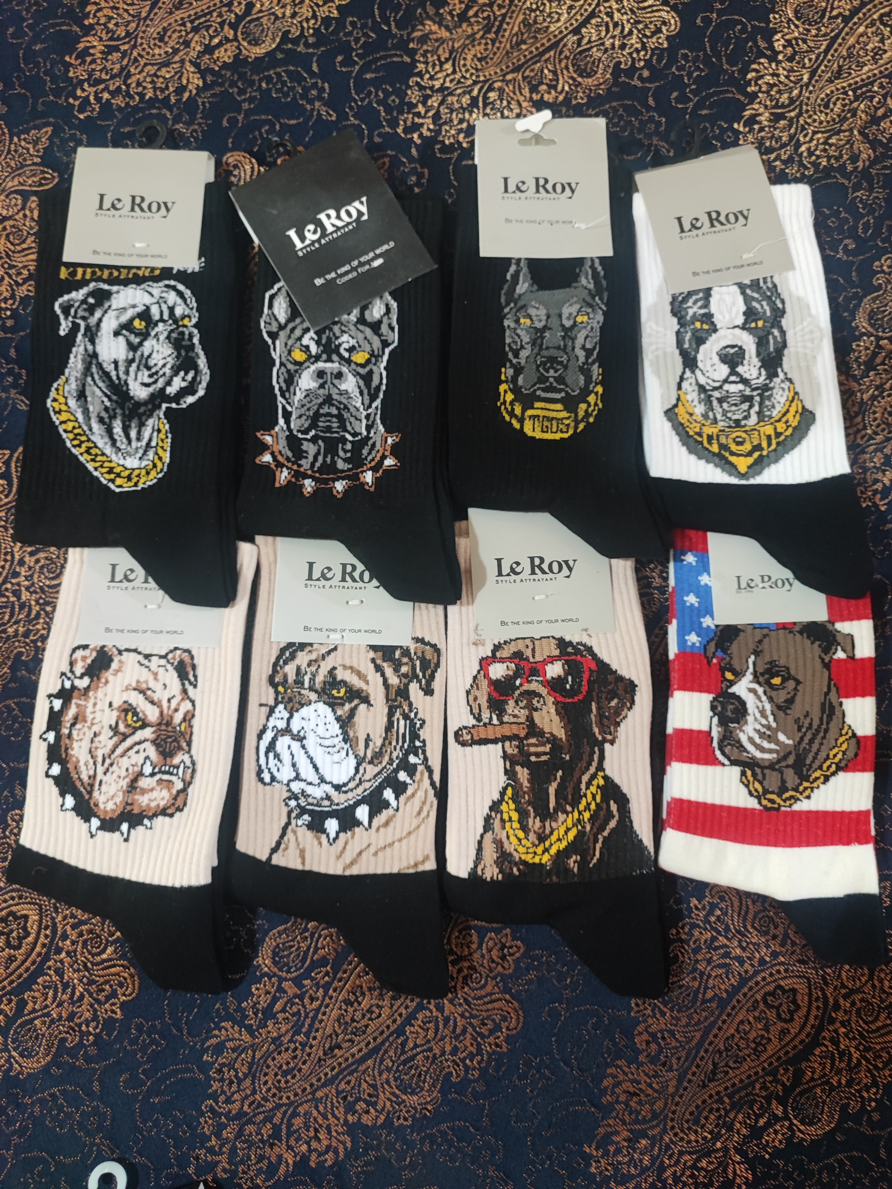 تصویر طرح سگ - سگ 